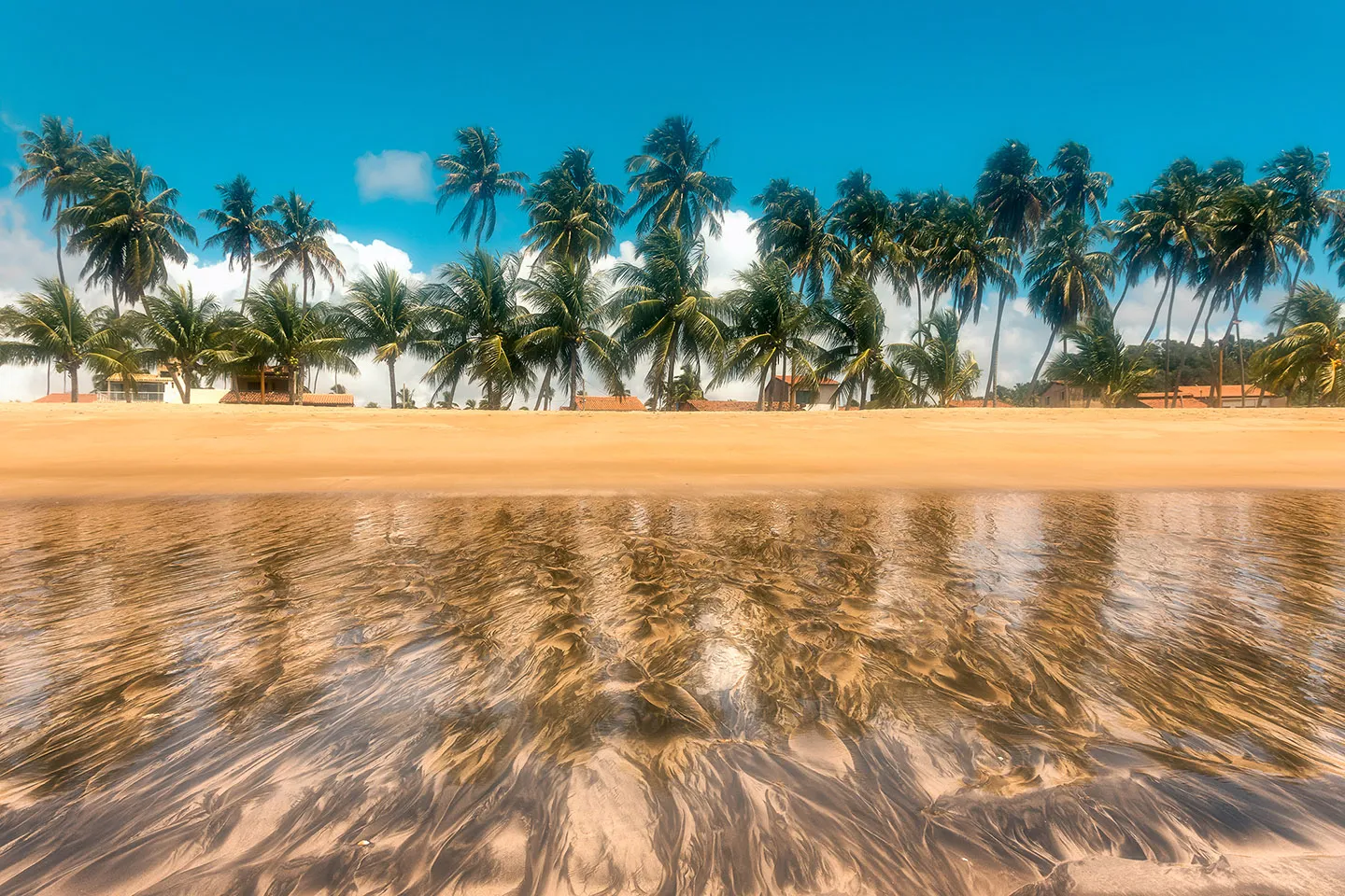 Beach view showing palm trees